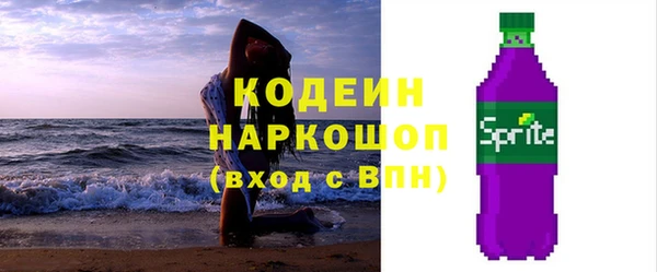хмурый Алексин